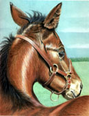 Mares and Foals, Equine Art - Little Guy